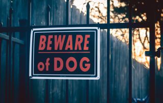 dog_bite_personal_injury_attorney_lawyer_albany